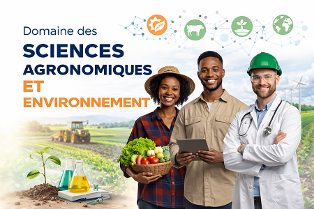 Sciences Juridiques